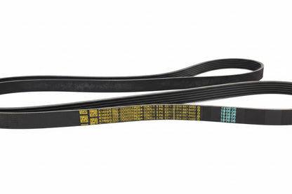 Correa de accesorio Mercedes Benz Viano (W639) Vito (W639) Sprinter (W903- W904) Años 95-15  0129970792